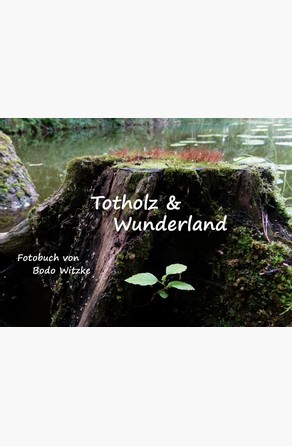 Totholz & Wunderland Bodo Witzke